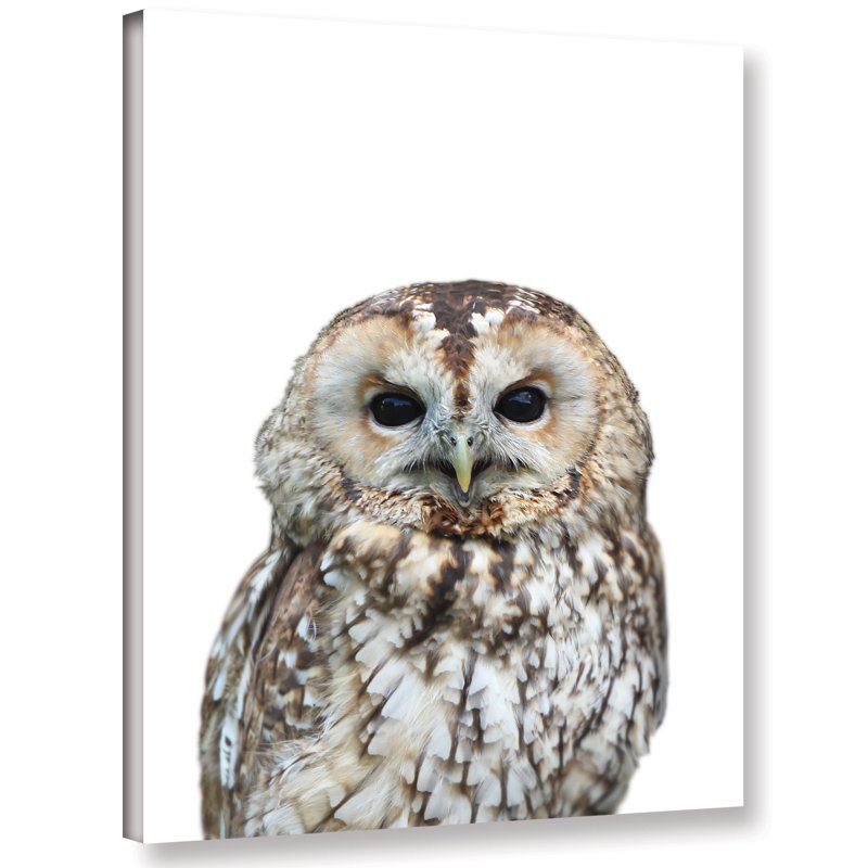 « hibou », reproduction de photo sur toile, H 10 po x l 8 po x P 2 po