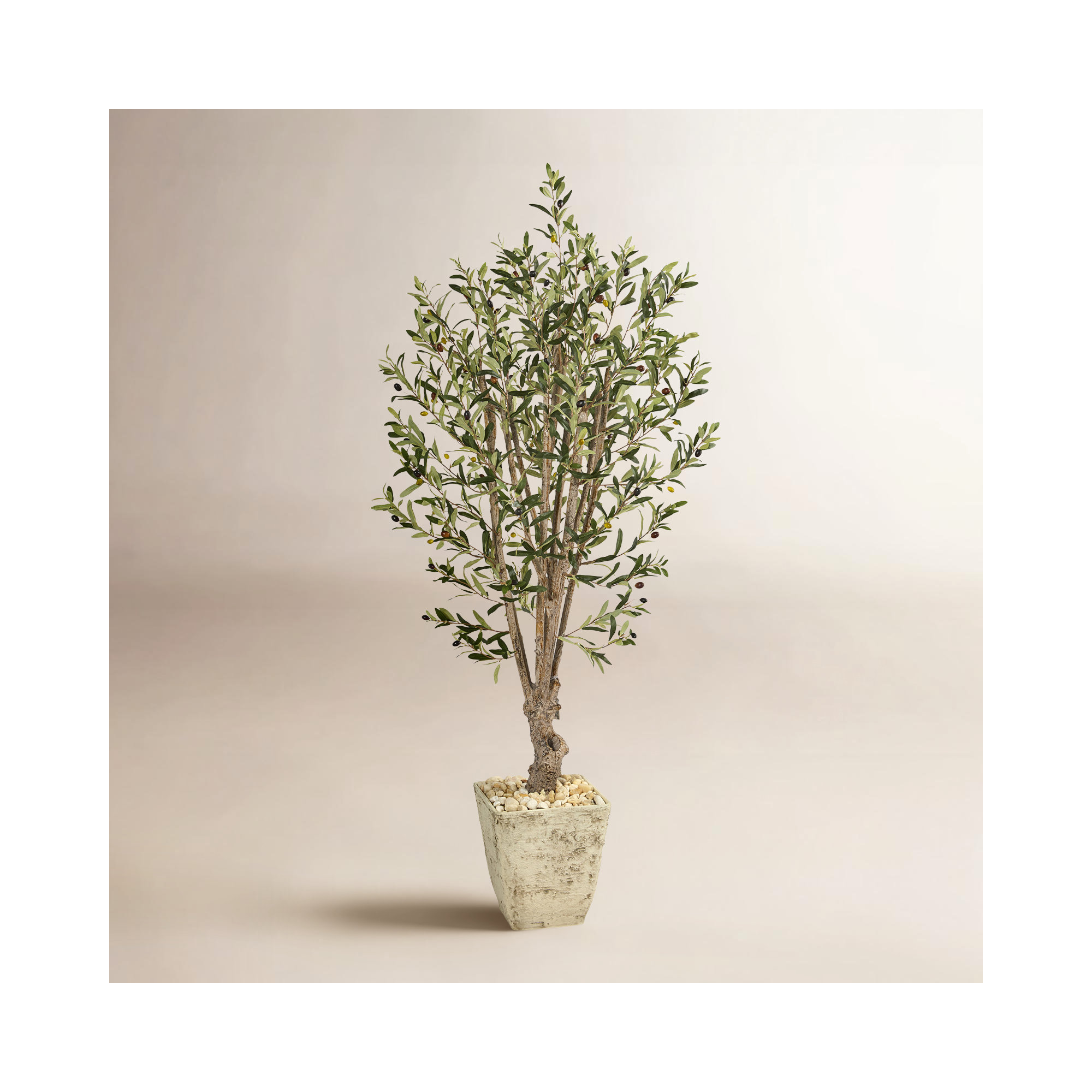 60'' Faux Olive Tree Tree in Planter
