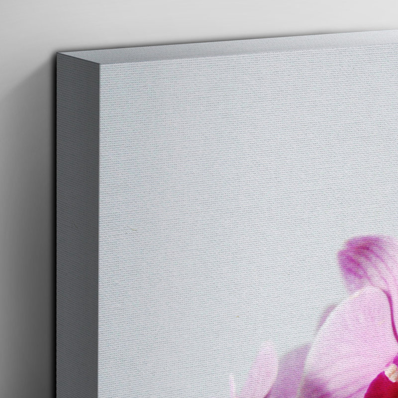 Flower Pink Orchid - Wrapped Canvas, 50cm H x 76cm W