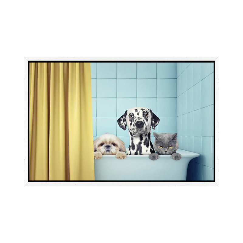 Two Dogs And Cat In The Bath by Helga1981 - Print on Canvas, 45.72cm H x 66.04cm W x 3.81cm D, White Framed