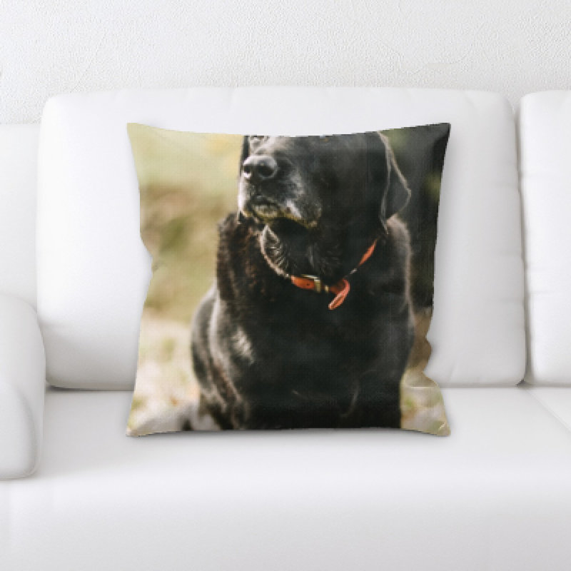 Coussin pour chien