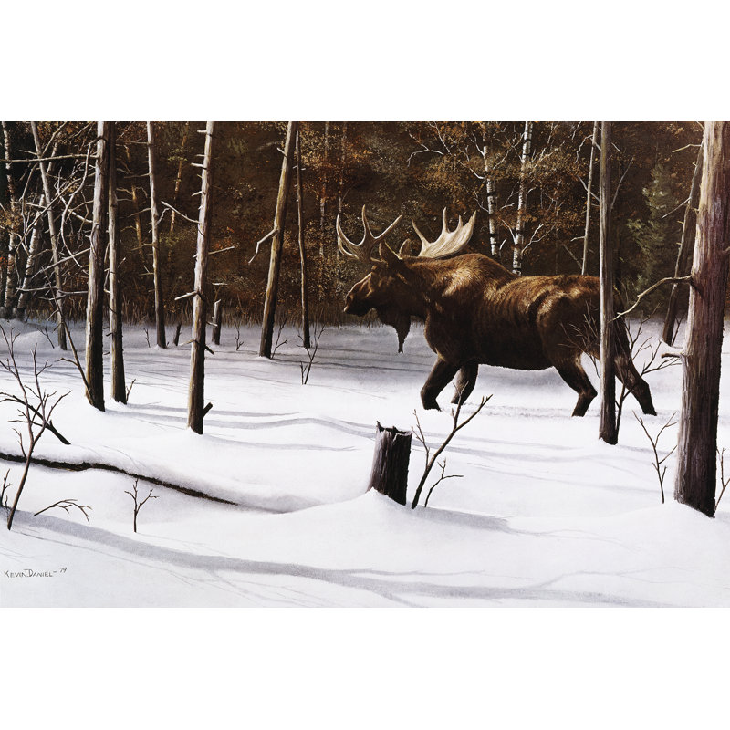 Winter Forage - Wrapped Canvas Painting, 30cm H x 46cm W x 3.8cm D