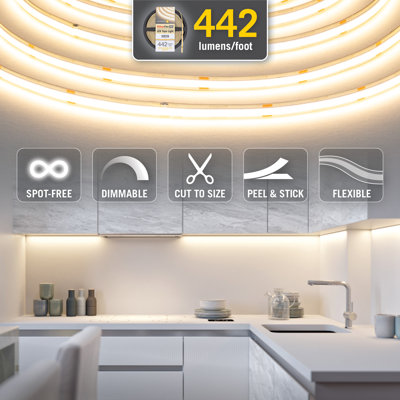 Ruban adhésif à DEL blanc RibbonFlex Pro 24V 3000K, 442 lumens / pi, 5M