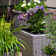 Rattan Planter Set