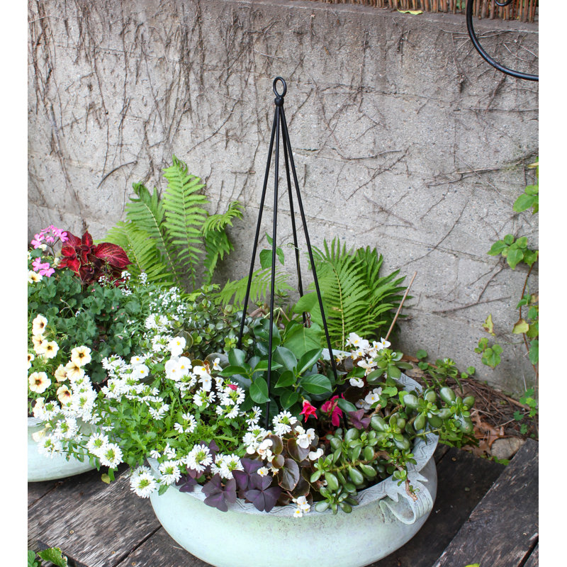 34'' H x 6'' W Metal Expanding Trellis