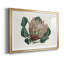 Protea N70, reproduction encadrée de qualité supérieure - prête à être accrochée-351619402-351619403