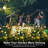 Low Voltage Solar Powered Integrated LED Pathway Light Pack