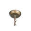 Rustic Lodge 2 - Light Pendant