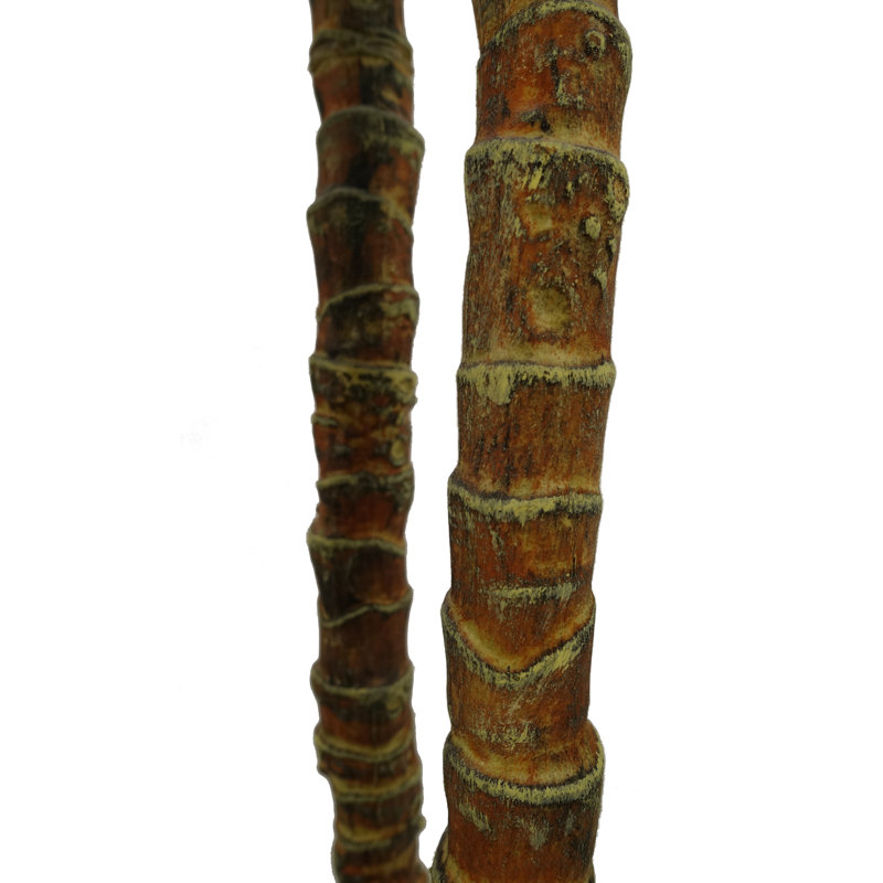 Anivea 170cm Faux Yucca Tree in Pot