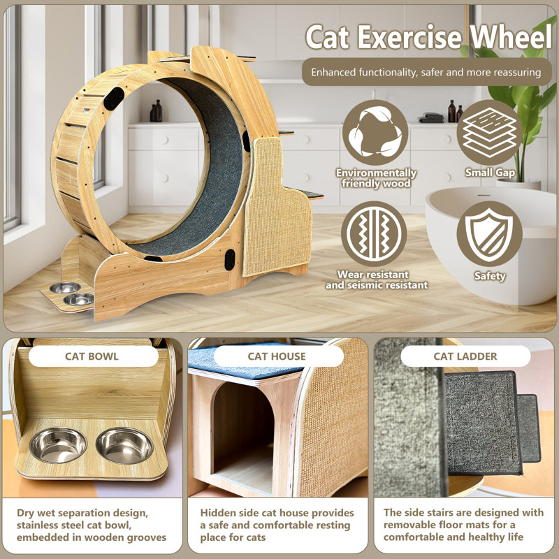 5-in-1 Cat Scratching Post & Activity Centre