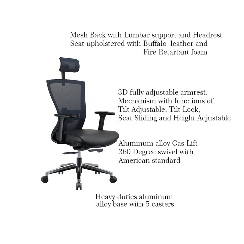 Chaise de travail ergonomique Carncoagh