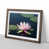 Walnut Framed selected
