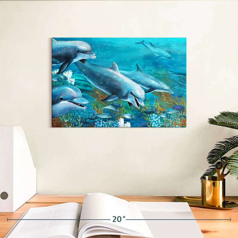 Dolphin Adventure, H 8 po x l 12 po