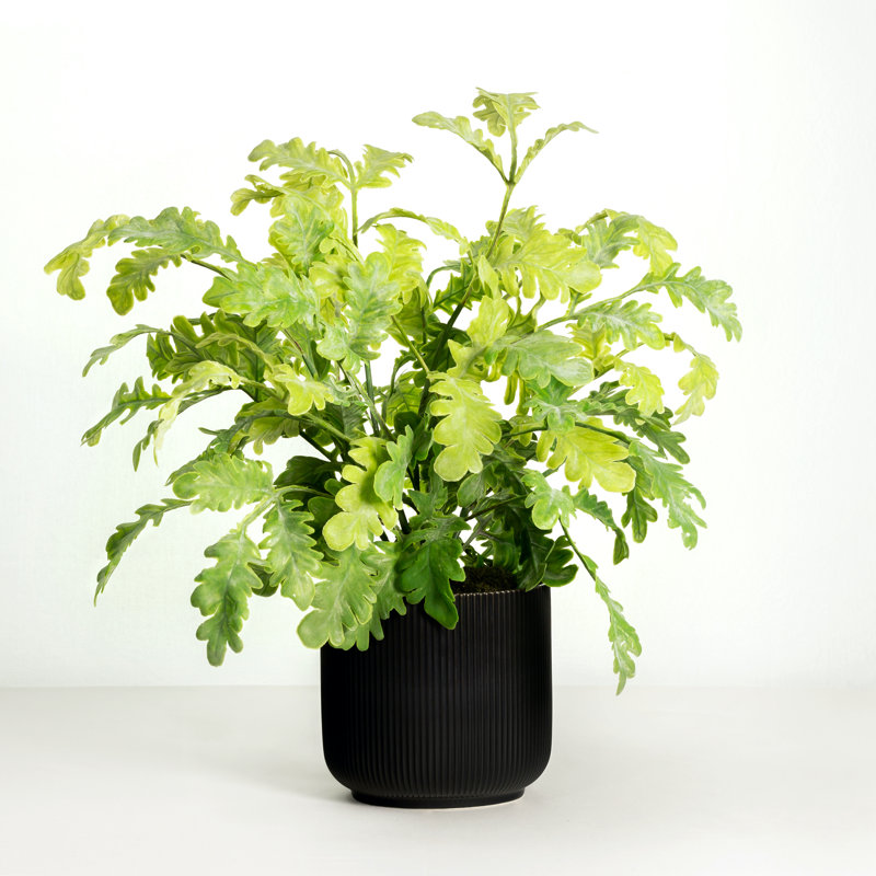 Faux Ivy Plant