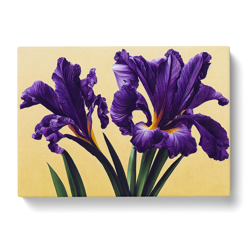 Majestic Iris Flowers - Wrapped Canvas, 40cm H x 60cm W x 3cm D