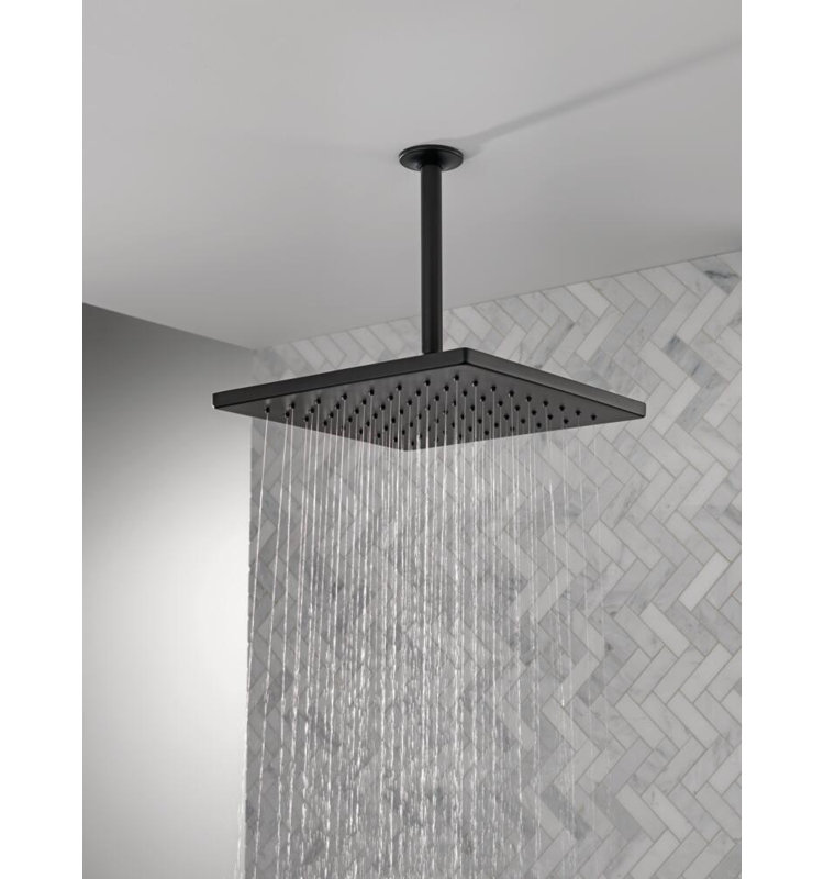 Delta Rain Adjustable Shower Head, Matte Black