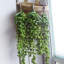 Faux plantes artificielles suspendues-68247054