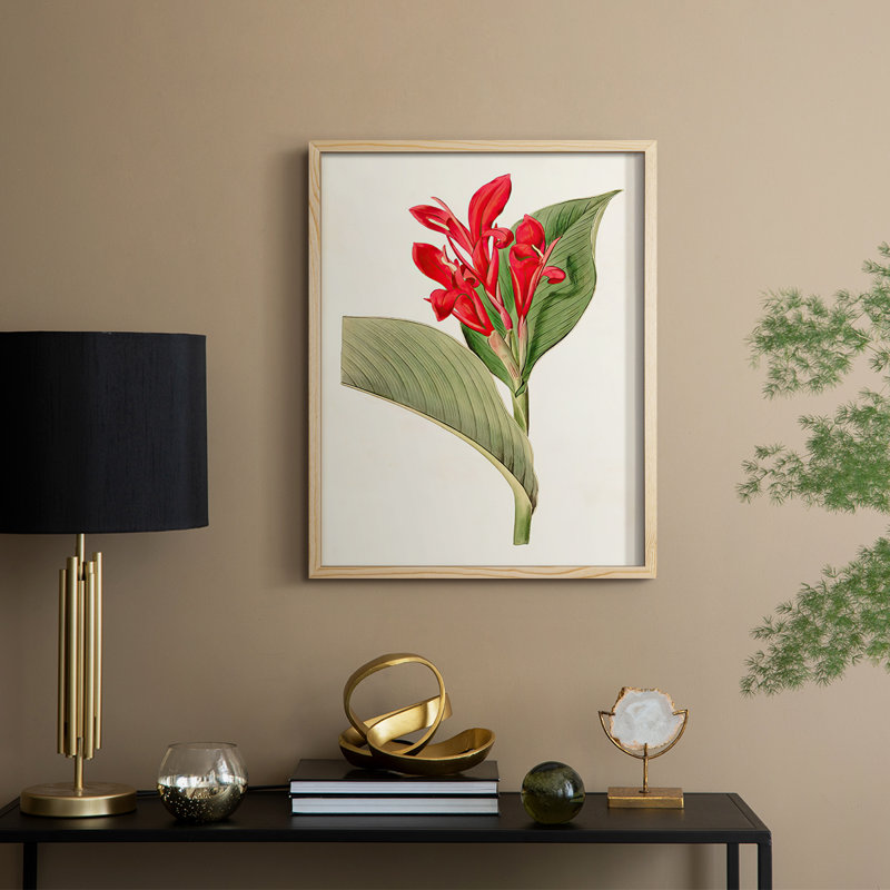 FloraOfTheTropicsIV Framed Print - Solid Wood, 11" H x 9" W