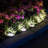 Low Voltage Solar Powered Integrated LED Pathway Light Pack-120193146