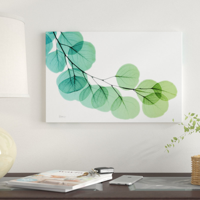 Impression d’art graphique sur toile tendue "eucalyptus vert bleu" par Albert Koetsier, H 8 po x l 12 po x P 0,75 po