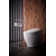 Neorest® Dual-Flush Elongated One-Piece Toilet with High-Efficiency Flush (Seat Included)