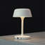 Metal Novelty Lamp