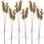 2 Piece Bakuli Pine Stick   Set of 6   23.5"   Gold