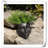 Kalesia Planter-181120542