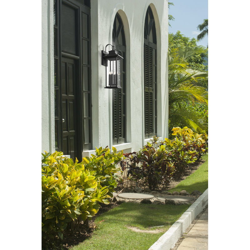 Olvera 6 Light Outdoor Wall Light