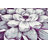 Ahn Floral Indoor Rug-145988124