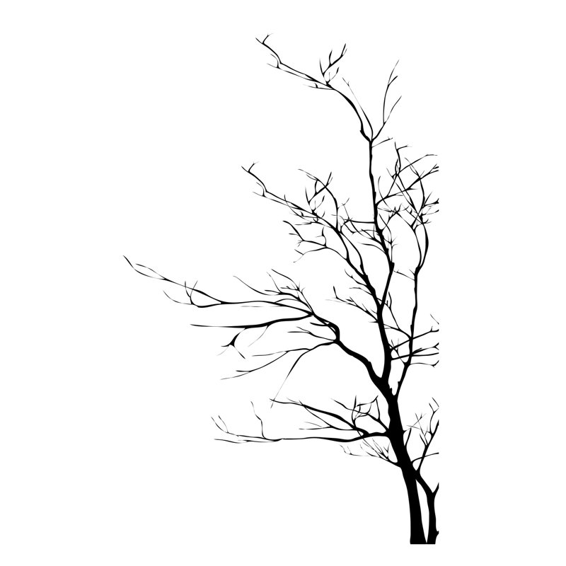 Adhésif décoratif branches d’arbre nues