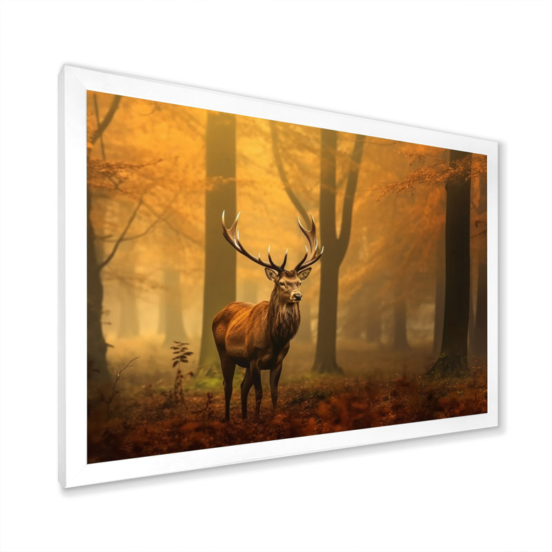 Photographie majestueuse d'un cerf dans la forêt, Cadre simple blanc, H 12 po x l 20 po x P 1 po