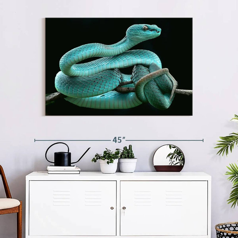Brampt Blue Pit Viper, 8" H x 12" W