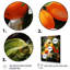 «Dareon Tangerine Tango Bouquet I», reproduction sur toile-1245383197-1245383196