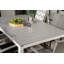 Faiyaz 6 - Person Patio Dining Set with Extendable Rectangular Table , Cushions Included