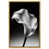 Gold Floater Frame is unavailable