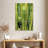 Harnek Cactus Overlay-108535978