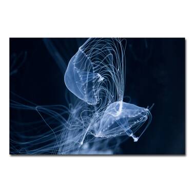 Designart 'Fish Skeleton Bone on Black ' Animal Metal Wall Art