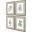 White Flowers S/4 Set by Giclee Studio