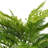 Green Artificial Leather Fern Bush-1205312919