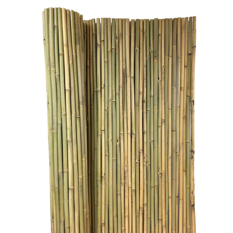Clôture en bambou Tonkin, Brun clair, H 5 pi x l 8 pi x P 0,75 po