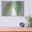 «Ferns III» par Chris Paschke-709083171