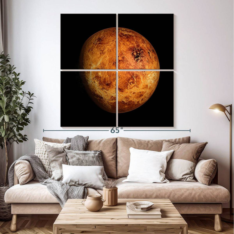 Oberle Venus Close Up