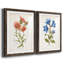 Botanical I - 2 Piece Print-271774468-271774477-271774443