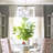 Charliene 6 - Light Lantern Chandelier-1913968871