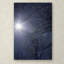 «Springtime Sunshine», reproduction de photo sur toile tendue-18234553