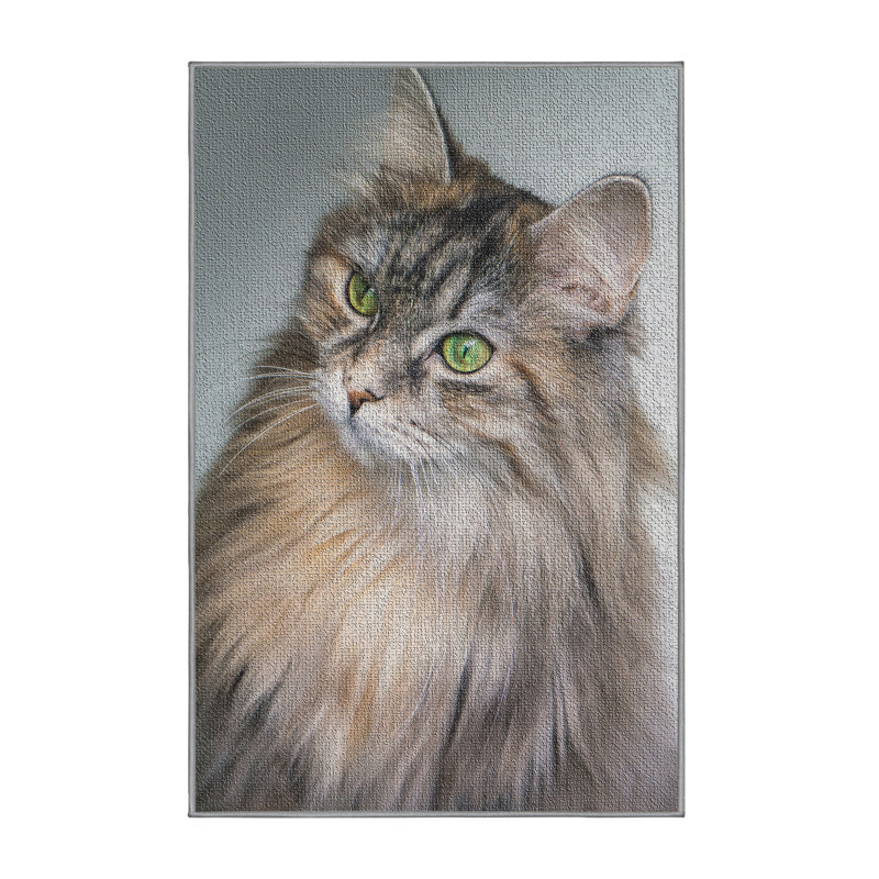 Tapis brun Amazing Animals 34, Rectangle 2 pi x 3 pi