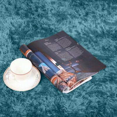 Abidan Solid Colour Shag Area Rug