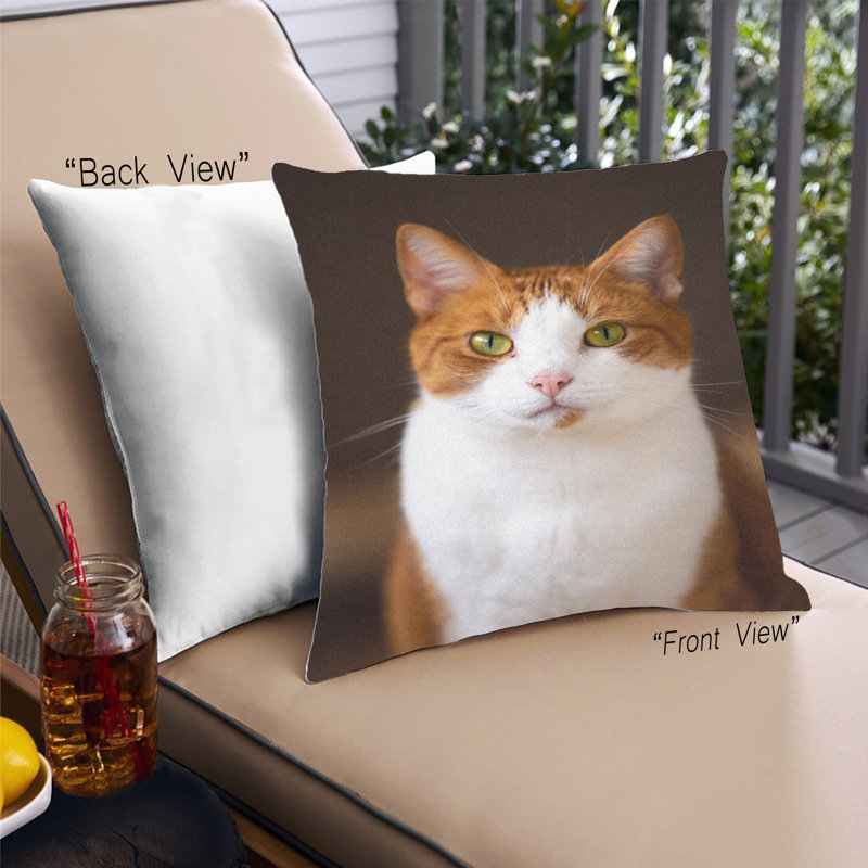 Coussin Cat Cats 68, Microsuède