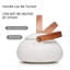Ebern Designs Reya 800ml Teapot Set